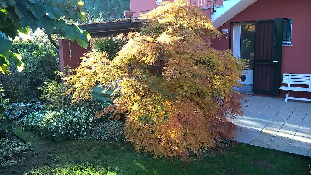 La Collina Since 2008 No Smoking B&B Varese